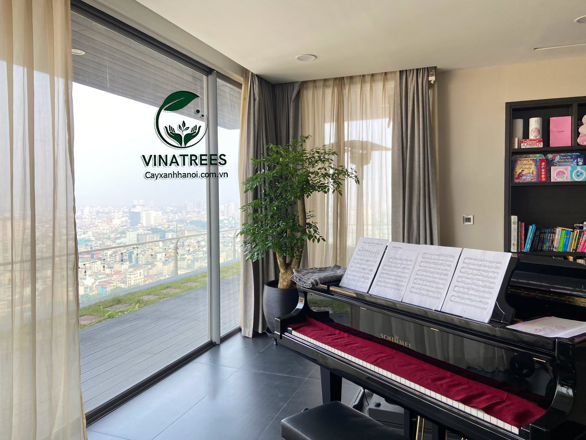 Cây Xanh Hà Nội Vinatrees Bán Và Cho Thuê Cây Cảnh Văn Phòng Cây Hạnh Phúc